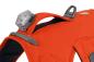 Preview: Ruffwear Web Master Harness Blaze Orange Gr. M